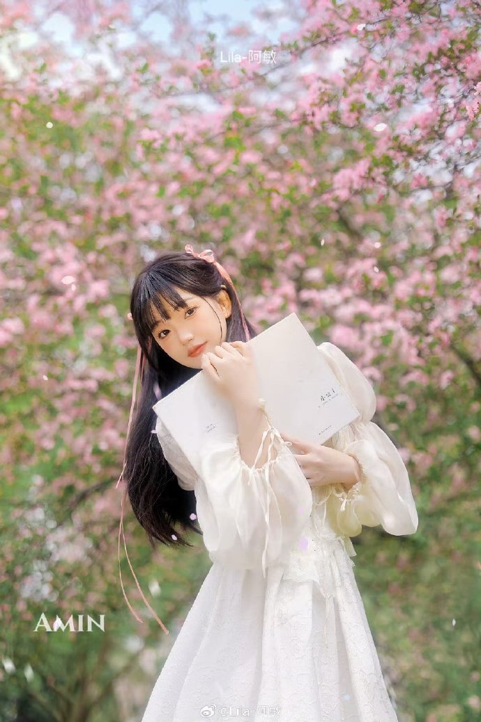 阿甘正传 封面